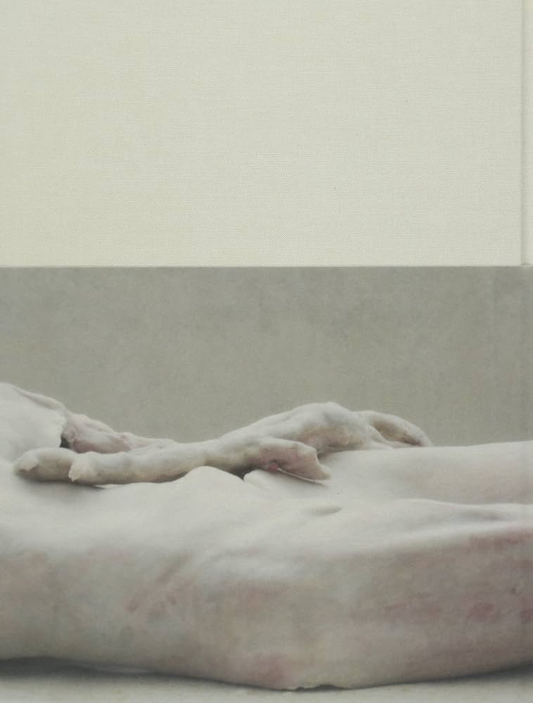 Berlinde de Bruyckere: The Embalmer : De Bruyckere, Berlinde