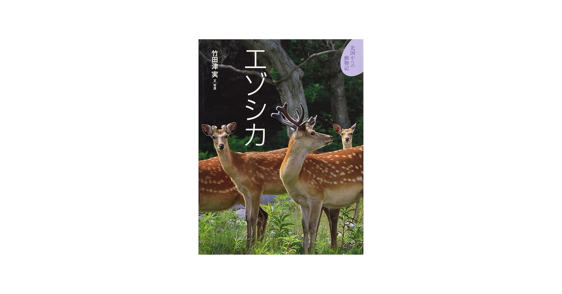 エゾシカ (北国からの動物記 4) | 竹田津 実 |本 | 通販 | Amazon
