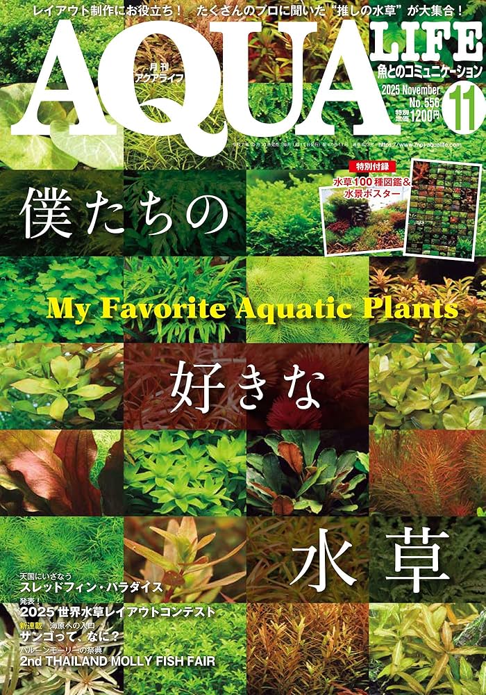 月刊アクアライフ 2025年11月号 僕たちの好きな水草 ☆特別付録☆水草