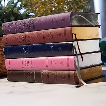 814NQquP8SL._AC_UF350,