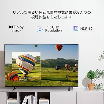Amazon | FPD チューナーレステレビ 55V型 4K Google TV ネット動画