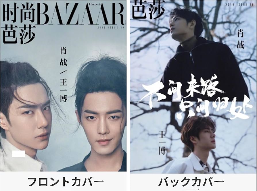 Amazon.co.jp: 月見竹取 博君一肖 陳情令 王一博&肖戦 ワンイーボー