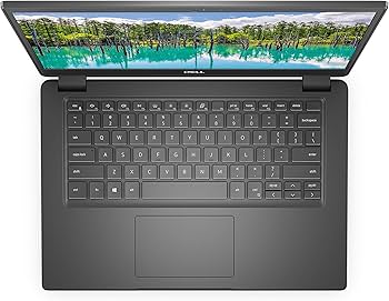 Amazon.com: Dell Latitude 3410 14