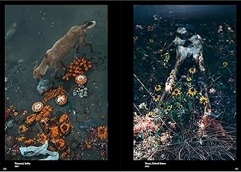 奇界／世界 佐藤健寿作品集 | 佐藤 健寿 |本 | 通販 | Amazon