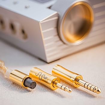 Amazon.co.jp: Angelears |【EarAcousticAudio VSA-LTD 究極女毒