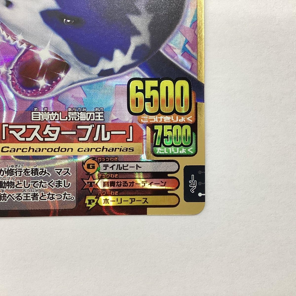 Amazon.co.jp: 百獣大戦 アニマルカイザー 第8弾 A-111 目覚めし荒海の