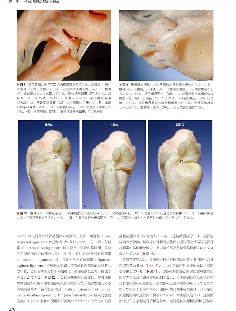 The Grasping Hand 日本語版(グラスピング・ハンド): 手・上肢の構造と