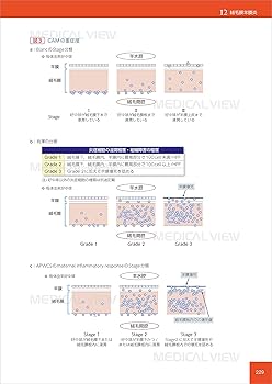 基礎と臨床の両側面からみた 胎盤学 | 日本胎盤学会 |本 | 通販 | Amazon