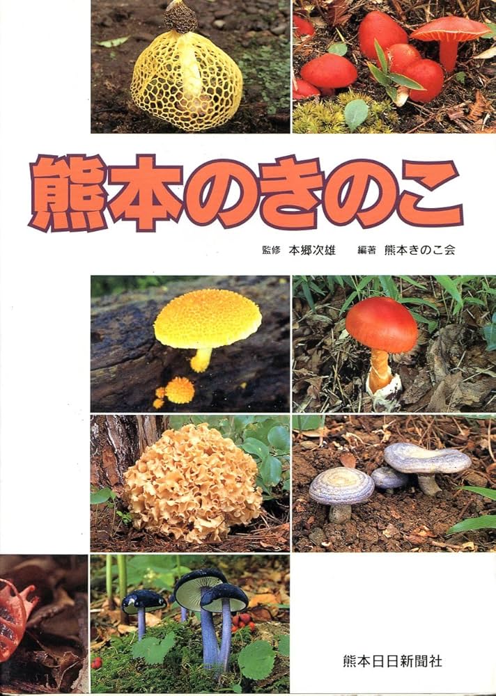 Amazon.co.jp: 熊本のきのこ : 熊本きのこ会: 本