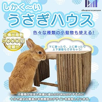 Amazon | shopzerosanyon うさぎ ハウス 木製 四角ハムスター 巣箱