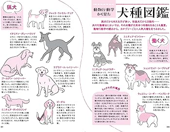 マンガ動物行動学 犬の気持ちとしぐさがよくわかる! | 茂木千恵