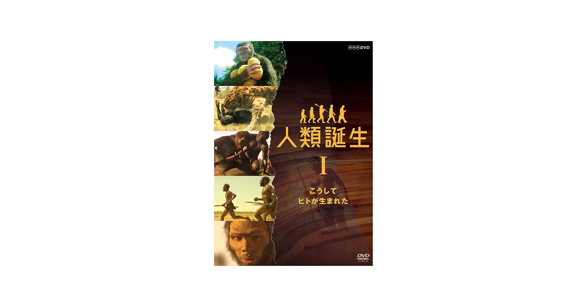 Amazon.co.jp: NHKスペシャル 人類誕生 こうしてヒトが生まれた [DVD