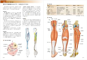 カラー図解 人体の正常構造と機能 全10巻縮刷版【電子書籍つき
