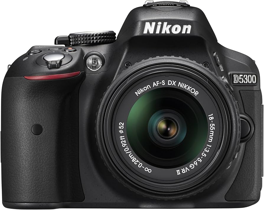 Amazon.com : Nikon D5300 24.2 MP CMOS Digital SLR Camera with 18