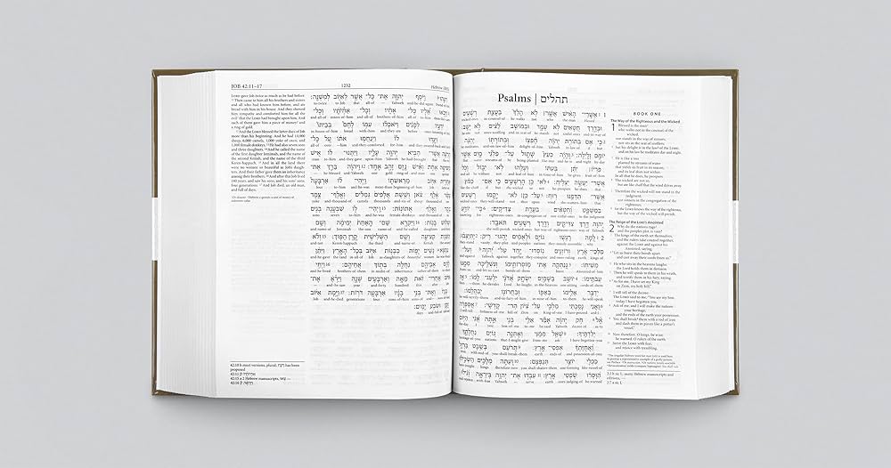 Amazon | The Hebrew-English Interlinear ESV Old Testament: Biblia