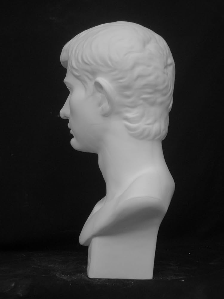 Amazon.co.jp: 石膏像 K－165 青年ブルータス胸像 H．53cm