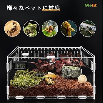 Amazon | 爬虫類 ケージ トカゲ ケージ カナヘビ飼育ケース レプタイル