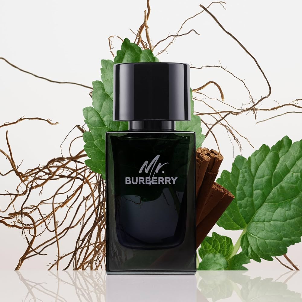 Amazon.com: Burberry Mr. Burberry Eau de Parfum 3.3 fl oz : Beauty