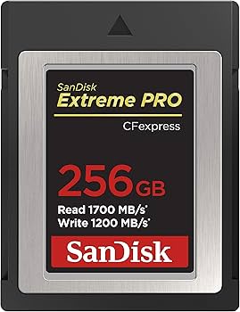 Amazon.com: SanDisk 256GB Extreme PRO CFexpress Card Type B