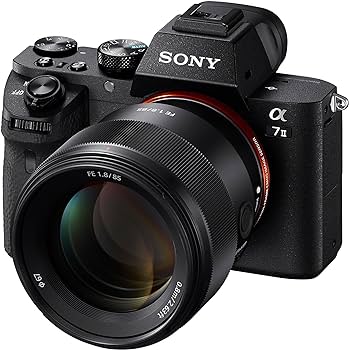 Sony Fe 85mm F1.8 Lens (SEL85F18/2), Black : Amazon.ca: Electronics