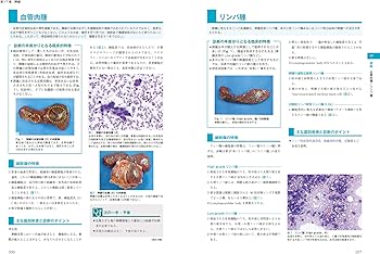 犬と猫の実践 細胞診アトラス | 酒井 洋樹, 酒井 洋樹 |本 | 通販 | Amazon