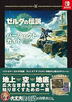 Amazon.co.jp: ゼルダの伝説 ティアーズ オブ ザ キングダム