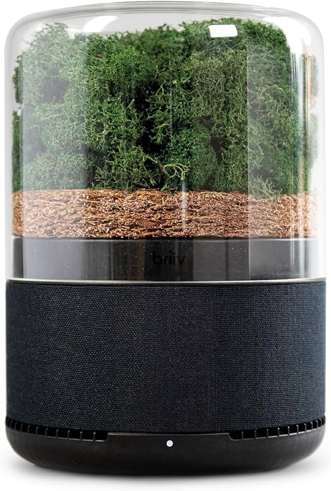 Amazon.co.jp: BRIIV (ブリーヴ) 英国発の自然派エコ空気清浄機 コケ