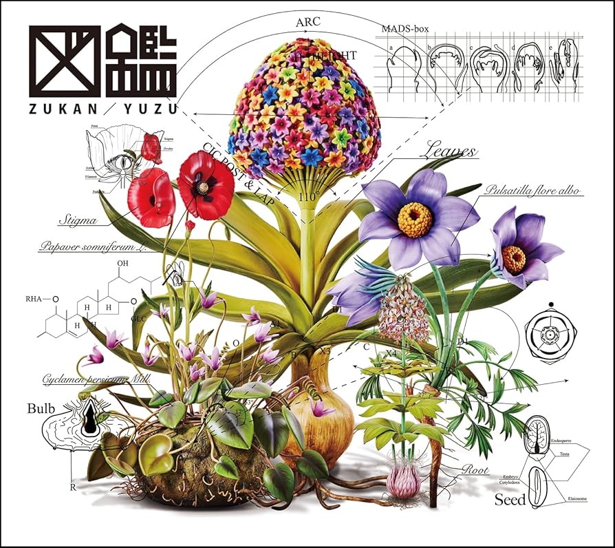 Amazon.co.jp: 図鑑 (初回生産限定盤) (CD+Blu-ray) - ゆず: ミュージック