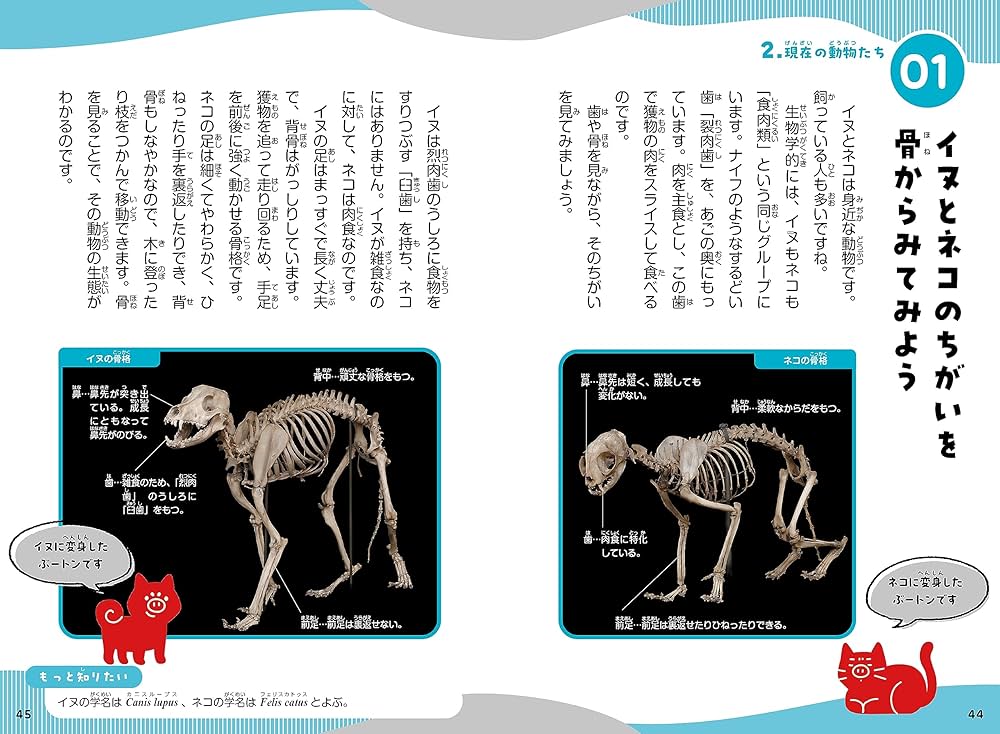 ニュートン科学の学校シリーズ 動物の学校 | 門脇 正史 |本 | 通販
