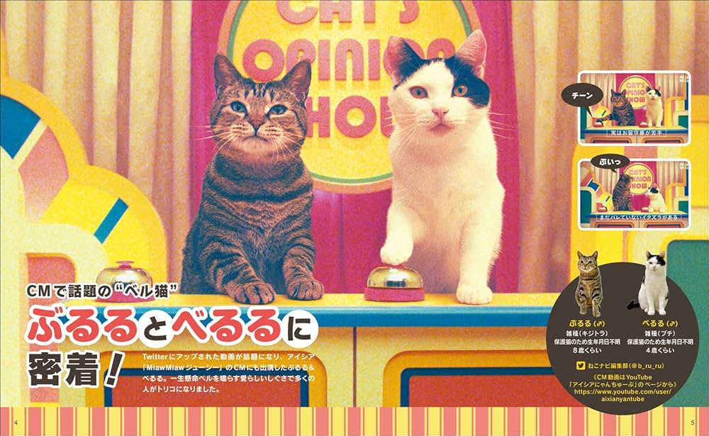 うちのお猫さま |本 | 通販 | Amazon