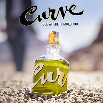 Amazon.com : Curve for Men Cologne Spray, Spicy Woody Magnetic