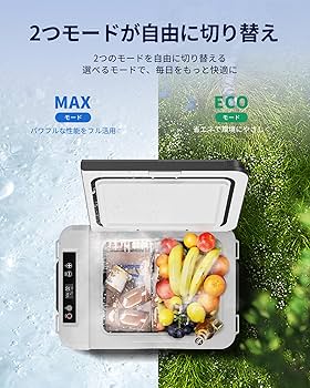 Amazon.co.jp: EUHOMY 車載冷蔵庫 ポータブル冷蔵庫 小型 10L 【-20