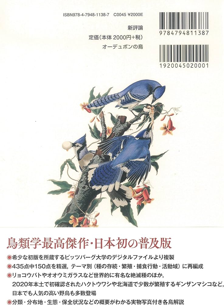 オーデュボンの鳥: 『アメリカの鳥類』セレクション | ジョン