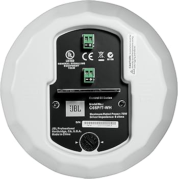 Amazon.com: JBL Professional C65P/T-WH Compact Full-Range Hanging