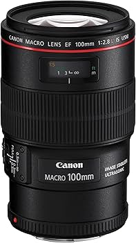 Amazon.com : Canon EF 100mm f/2.8L IS USM Macro Lens for Canon