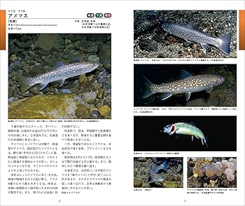 魚の本 北アメリカ淡水魚 魚の本 北アメリカ淡水魚 魚の本 北アメリカ