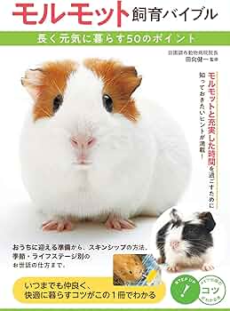 810SsbSsdFL._AC_UF350,