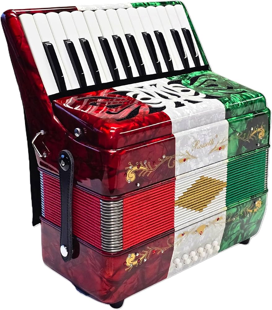 Amazon.com: Rossetti Accordion (ROS2512-MX) : Musical Instruments
