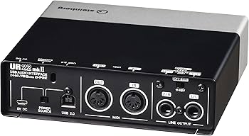 Steinberg UR22 MKII USB Audio Interface with iPad Support : Amazon
