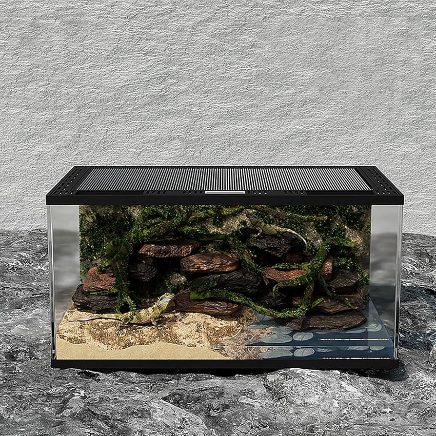 Amazon | NEONMAN 両生類飼育ケージ 爬虫類用ガラスケージ グラス