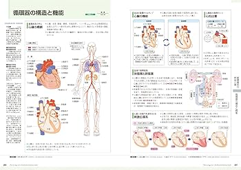 薬がみえる vol.1 | 医療情報科学研究所 |本 | 通販 | Amazon