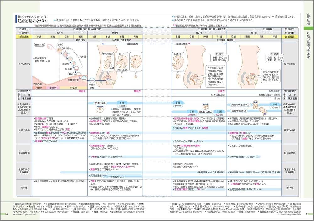 病気がみえる vol.10 産科 第4版 | 医療情報科学研究所 |本 | 通販