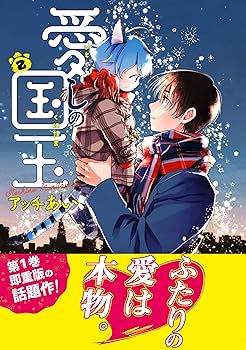 811H9OFsIFL._AC_UF350,