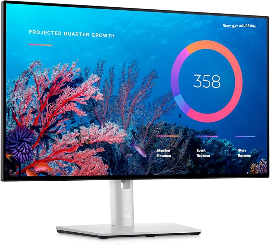 Amazon.com: Dell UltraSharp U2422HE 23.8