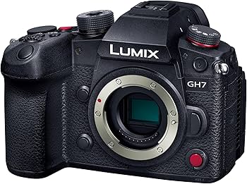 Amazon.co.jp: パナソニック(Panasonic) ミラーレス一眼カメラ