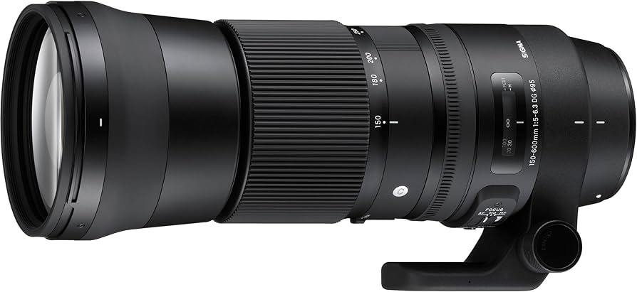 Amazon.com : Sigma 150-600mm f/5-6.3 DG OS HSM Contemporary Lens