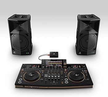 Amazon.com: AlphaTheta Wave-Eight 8-Inch Bluetooth DJ Speaker with