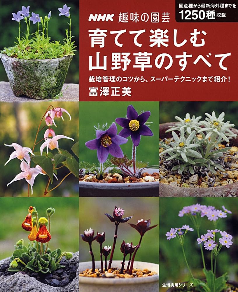 NHK趣味の園芸 育てて楽しむ 山野草のすべて (生活実用シリーズ