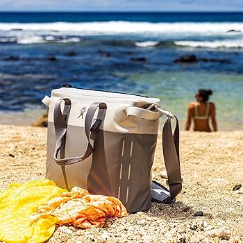 Amazon.com: Hydro Flask 18 L Day Escape Soft Cooler - Reusable