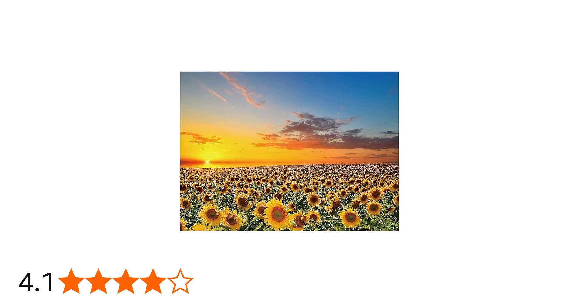 Amazon.co.jp: ジグソーパズル1000ピース ひまわり 風景 自然 ひまわり